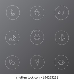 Set Of 9 Editable Animal Icons. Includes Symbols Such As Cancer, Polar Bird, Lobster And More. Can Be Used For Web, Mobile, UI And Infographic Design.