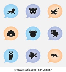 Set Of 9 Editable Animal Icons. Includes Symbols Such As Wildcat, Swine, Conch And More. Can Be Used For Web, Mobile, UI And Infographic Design.