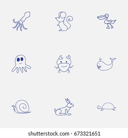 Set Of 9 Editable Animal Icons. Includes Symbols Such As Squid, Cancer, Rat And More. Can Be Used For Web, Mobile, UI And Infographic Design.