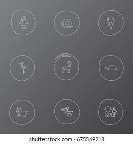Set Of 9 Editable Animal Icons. Includes Symbols Such As Polar Bird, Slug, Chipmunk And More. Can Be Used For Web, Mobile, UI And Infographic Design.