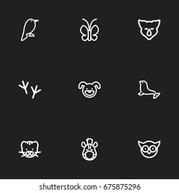 Set Of 9 Editable Animal Icons. Includes Symbols Such As Horse, Predator Bird, Dogfish And More. Can Be Used For Web, Mobile, UI And Infographic Design.