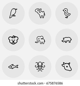 Set Of 9 Editable Animal Icons. Includes Symbols Such As Cougar, Dromedary, Predator And More. Can Be Used For Web, Mobile, UI And Infographic Design.