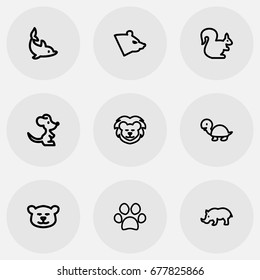 Set Of 9 Editable Animal Icons. Includes Symbols Such As Puma, Rhinoceros, Polar And More. Can Be Used For Web, Mobile, UI And Infographic Design.