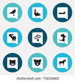 Set Of 9 Editable Animal Icons. Includes Symbols Such As Rhinoceros, Mouse, Playful Fish And More. Can Be Used For Web, Mobile, UI And Infographic Design.