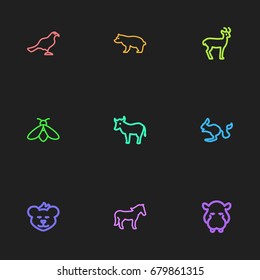 Set Of 9 Editable Animal Outline Icons. Includes Symbols Such As Deer, Hippo, Ocean Mew And More. Can Be Used For Web, Mobile, UI And Infographic Design.
