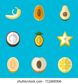 Set Of 9 Editable Berry Flat Icons. Includes Symbols Such As Jungle Fruit, Watermelon, Ananas And More. Can Be Used For Web, Mobile, UI And Infographic Design.
