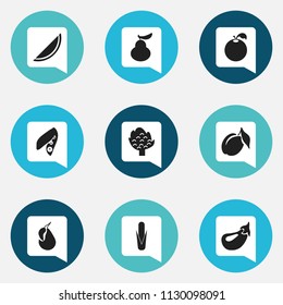 Set of 9 editable berry icons. Includes symbols such as eggplant, orange, pear and more. Can be used for web, mobile, UI and infographic design.
