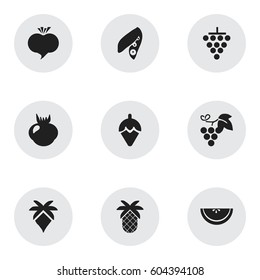Set Of 9 Editable Berry Icons. Includes Symbols Such As Soybean, Tropical Fruit, Cluster And More. Can Be Used For Web, Mobile, UI And Infographic Design.