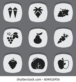 Set Of 9 Editable Berry Icons. Includes Symbols Such As Grape, Merlot, Duchess And More. Can Be Used For Web, Mobile, UI And Infographic Design.