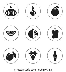 Set Of 9 Editable Berry Icons. Includes Symbols Such As Citrus, Apricot, Sativum And More. Can Be Used For Web, Mobile, UI And Infographic Design.