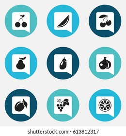 Set Of 9 Editable Berry Icons. Includes Symbols Such As Eggplant, Apricot, Merlot And More. Can Be Used For Web, Mobile, UI And Infographic Design.