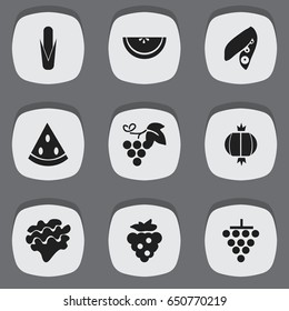 Set Of 9 Editable Berry Icons. Includes Symbols Such As Bulb, Muskmelon, Seedless Grapes And More. Can Be Used For Web, Mobile, UI And Infographic Design.