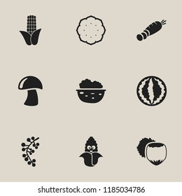 Set of 9 editable cooking icons. Includes symbols such as hazelnut, walnut, maize and more. Can be used for web, mobile, UI and infographic design.