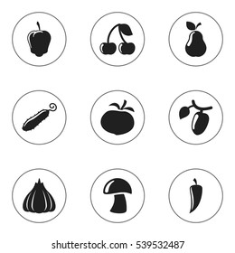 Set Of 9 Editable Cooking Icons. Includes Symbols Such As Turnip, Berry, Cep And More. Can Be Used For Web, Mobile, UI And Infographic Design.