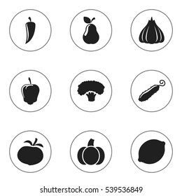 Set Of 9 Editable Cooking Icons. Includes Symbols Such As Zucchini, Sweet Pepper, Tree And More. Can Be Used For Web, Mobile, UI And Infographic Design.