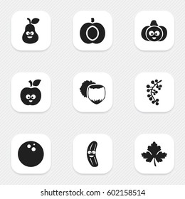 Set Of 9 Editable Cooking Icons. Includes Symbols Such As Pear, Nectarine, Leaf And More. Can Be Used For Web, Mobile, UI And Infographic Design.