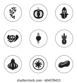 Set Of 9 Editable Cooking Icons. Includes Symbols Such As Half Tomato, Pistachio, Cranberry And More. Can Be Used For Web, Mobile, UI And Infographic Design.