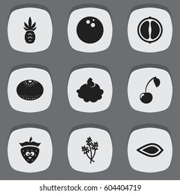 Set Of 9 Editable Cooking Icons. Includes Symbols Such As Coconut, Strawberry, Morello And More. Can Be Used For Web, Mobile, UI And Infographic Design.