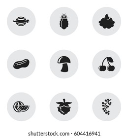 Set Of 9 Editable Cooking Icons. Includes Symbols Such As Cep, Blackberry, Cranberry And More. Can Be Used For Web, Mobile, UI And Infographic Design.