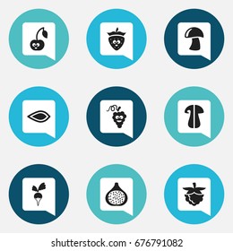 Set Of 9 Editable Cooking Icons. Includes Symbols Such As Turnip, Sweet Fruit, Blackberry And More. Can Be Used For Web, Mobile, UI And Infographic Design.