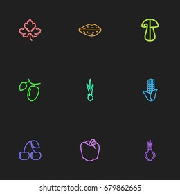 Set Of 9 Editable Cooking Outline Icons. Includes Symbols Such As Corn, Amygdalaceous, Onion And More. Can Be Used For Web, Mobile, UI And Infographic Design.