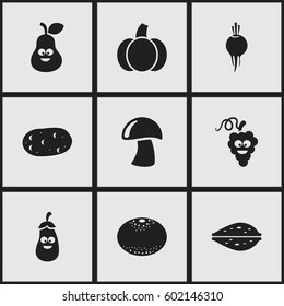 Set Of 9 Editable Cookware Icons. Includes Symbols Such As Sweet Fruit, Radish, Cep And More. Can Be Used For Web, Mobile, UI And Infographic Design.