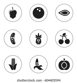 Set Of 9 Editable Cookware Icons. Includes Symbols Such As Apricot, Nectarine, Jungle Fruit And More. Can Be Used For Web, Mobile, UI And Infographic Design.