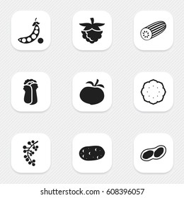 Set Of 9 Editable Cookware Icons. Includes Symbols Such As Tomato, Tater, Cranberry And More. Can Be Used For Web, Mobile, UI And Infographic Design.