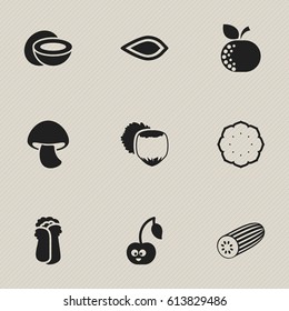 Set Of 9 Editable Cookware Icons. Includes Symbols Such As Cucumber, Amygdalaceous, Cokernut And More. Can Be Used For Web, Mobile, UI And Infographic Design.