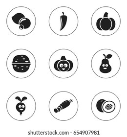 Set Of 9 Editable Cookware Icons. Includes Symbols Such As Nectarine, Chili, Gourd And More. Can Be Used For Web, Mobile, UI And Infographic Design.