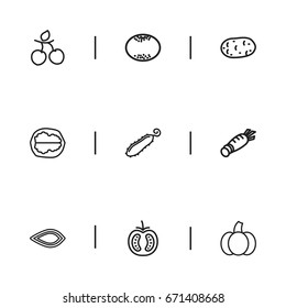 Set Of 9 Editable Cookware Icons. Includes Symbols Such As Almond, Root Vegetable, Veggie And More. Can Be Used For Web, Mobile, UI And Infographic Design.