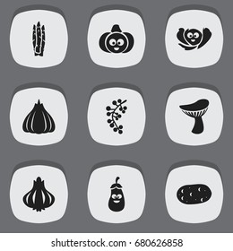 Set Of 9 Editable Cookware Icons. Includes Symbols Such As Tater, Eggplant, Laughing Cabbage And More. Can Be Used For Web, Mobile, UI And Infographic Design.