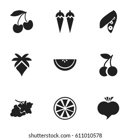 Set Of 9 Editable Dessert Icons. Includes Symbols Such As Cantaloupe, Lemon, Radish And More. Can Be Used For Web, Mobile, UI And Infographic Design.