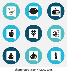 Set Of 9 Editable Dessert Icons. Includes Symbols Such As Tree, Lime, Maize And More. Can Be Used For Web, Mobile, UI And Infographic Design.