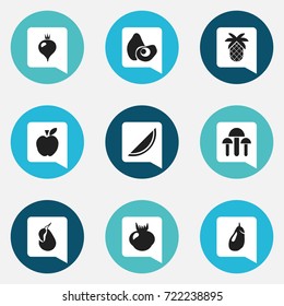 Set Of 9 Editable Dessert Icons. Includes Symbols Such As Tropical Fruit, Papaya, Turnip And More. Can Be Used For Web, Mobile, UI And Infographic Design.