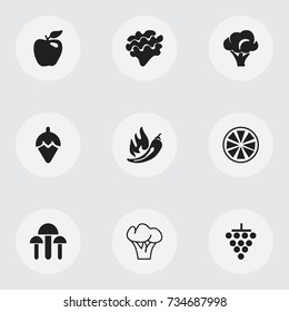 Set Of 9 Editable Dessert Icons. Includes Symbols Such As Tree, Lettuce, Lemon And More. Can Be Used For Web, Mobile, UI And Infographic Design.