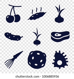  set of 9 editable filled icons such as onion, cherry, cucumber, meat