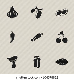 Set Of 9 Editable Food Icons. Includes Symbols Such As Pistachio, Chili, Cauliflower And More. Can Be Used For Web, Mobile, UI And Infographic Design.