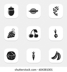 Set Of 9 Editable Food Icons. Includes Symbols Such As Oak, Amusing Garlic, Pecan And More. Can Be Used For Web, Mobile, UI And Infographic Design.