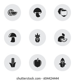Set Of 9 Editable Food Icons. Includes Symbols Such As Watermelon, Plum, Filbert And More. Can Be Used For Web, Mobile, UI And Infographic Design.