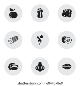 Set Of 9 Editable Food Icons. Includes Symbols Such As Cucumber, Almond, Turnip And More. Can Be Used For Web, Mobile, UI And Infographic Design.