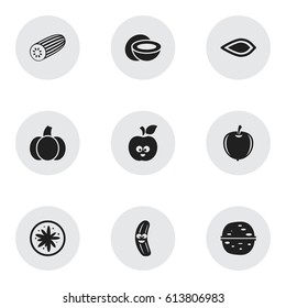 Set Of 9 Editable Food Icons. Includes Symbols Such As Cucumber, Cucumber, Gourd And More. Can Be Used For Web, Mobile, UI And Infographic Design.