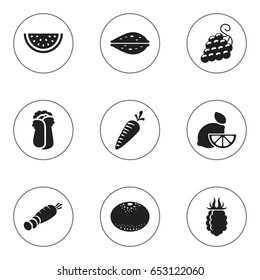 Set Of 9 Editable Food Icons. Includes Symbols Such As Carrot, Muskmelon, Almond And More. Can Be Used For Web, Mobile, UI And Infographic Design.