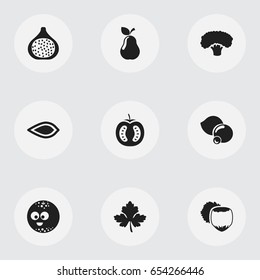 Set Of 9 Editable Food Icons. Includes Symbols Such As Smiling Ball, Bilberry, Leaf And More. Can Be Used For Web, Mobile, UI And Infographic Design.