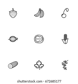 Set Of 9 Editable Food Icons. Includes Symbols Such As Corn, Pecan, Zucchini And More. Can Be Used For Web, Mobile, UI And Infographic Design.