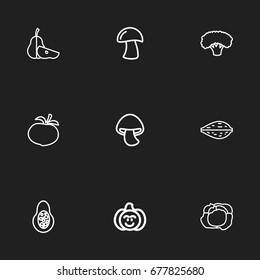 Set Of 9 Editable Food Icons. Includes Symbols Such As Turnip, Sliced Duchess, Cauliflower And More. Can Be Used For Web, Mobile, UI And Infographic Design.