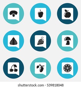 Set Of 9 Editable Food And Vegetable Icons. Includes Symbols Such As Barberry, Fresh Fruit, Berry And More. Can Be Used For Web, Mobile, UI And Infographic Design.