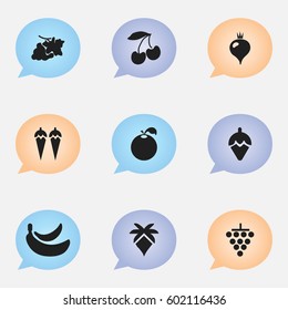 Set Of 9 Editable Fruits Icons. Includes Symbols Such As Cherry, Jungle Fruit, Turnip And More. Can Be Used For Web, Mobile, UI And Infographic Design.
