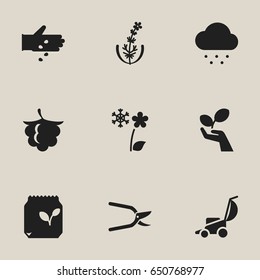 Set Of 9 Editable Garden Icons. Includes Symbols Such As Lilac, Grains, Seed Planting And More. Can Be Used For Web, Mobile, UI And Infographic Design.