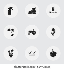 Set Of 9 Editable Gardening Icons. Includes Symbols Such As Alstroemeria, Glass Cleaner, Lawn And More. Can Be Used For Web, Mobile, UI And Infographic Design.